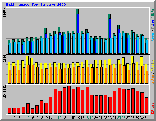 Daily usage for January 2020