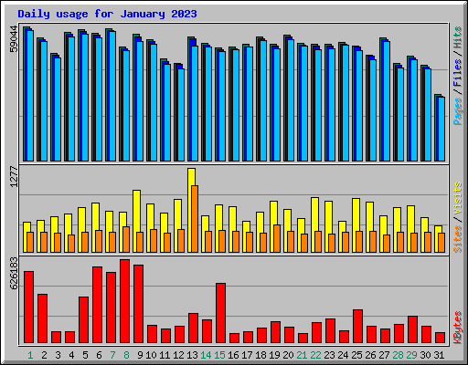 Daily usage for January 2023