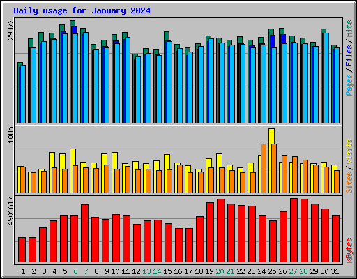 Daily usage for January 2024