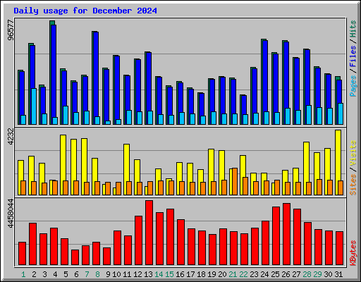Daily usage for December 2024