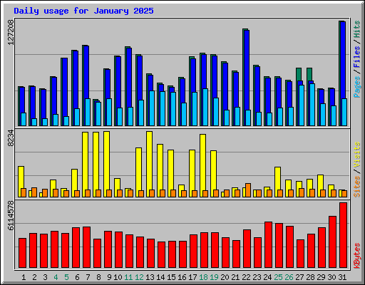 Daily usage for January 2025
