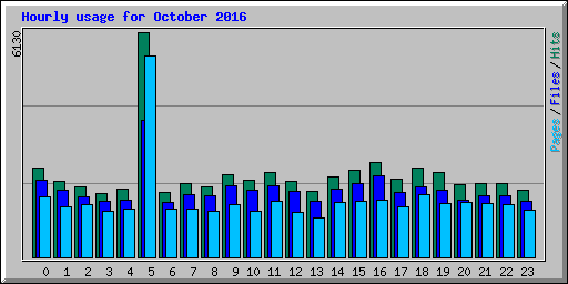 Hourly usage for October 2016