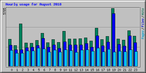 Hourly usage for August 2018