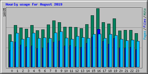 Hourly usage for August 2019