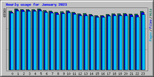 Hourly usage for January 2023