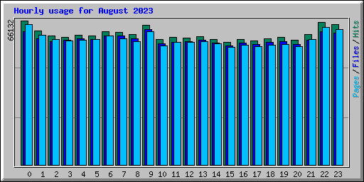 Hourly usage for August 2023