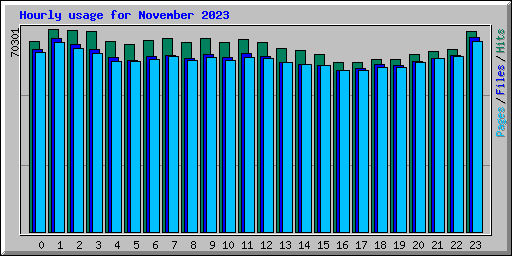 Hourly usage for November 2023