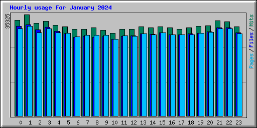 Hourly usage for January 2024