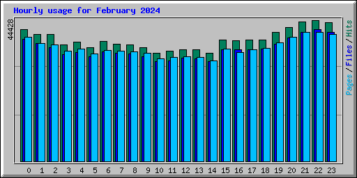 Hourly usage for February 2024