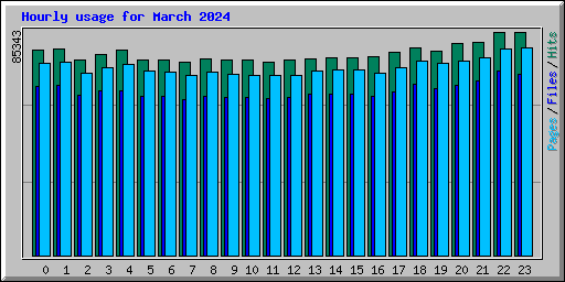 Hourly usage for March 2024