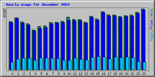 Hourly usage for December 2024