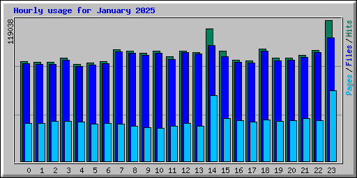 Hourly usage for January 2025