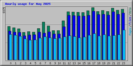 Hourly usage for May 2025