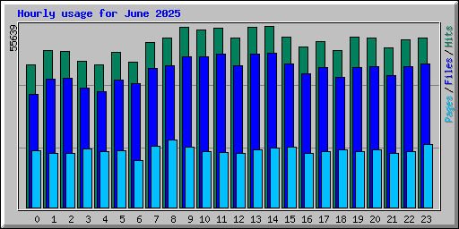 Hourly usage for June 2025