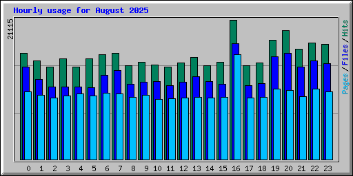 Hourly usage for August 2025