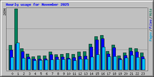 Hourly usage for November 2025