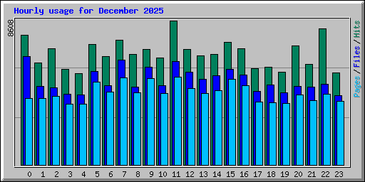 Hourly usage for December 2025