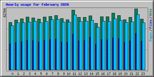 Hourly usage for February 2026