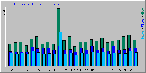 Hourly usage for August 2026